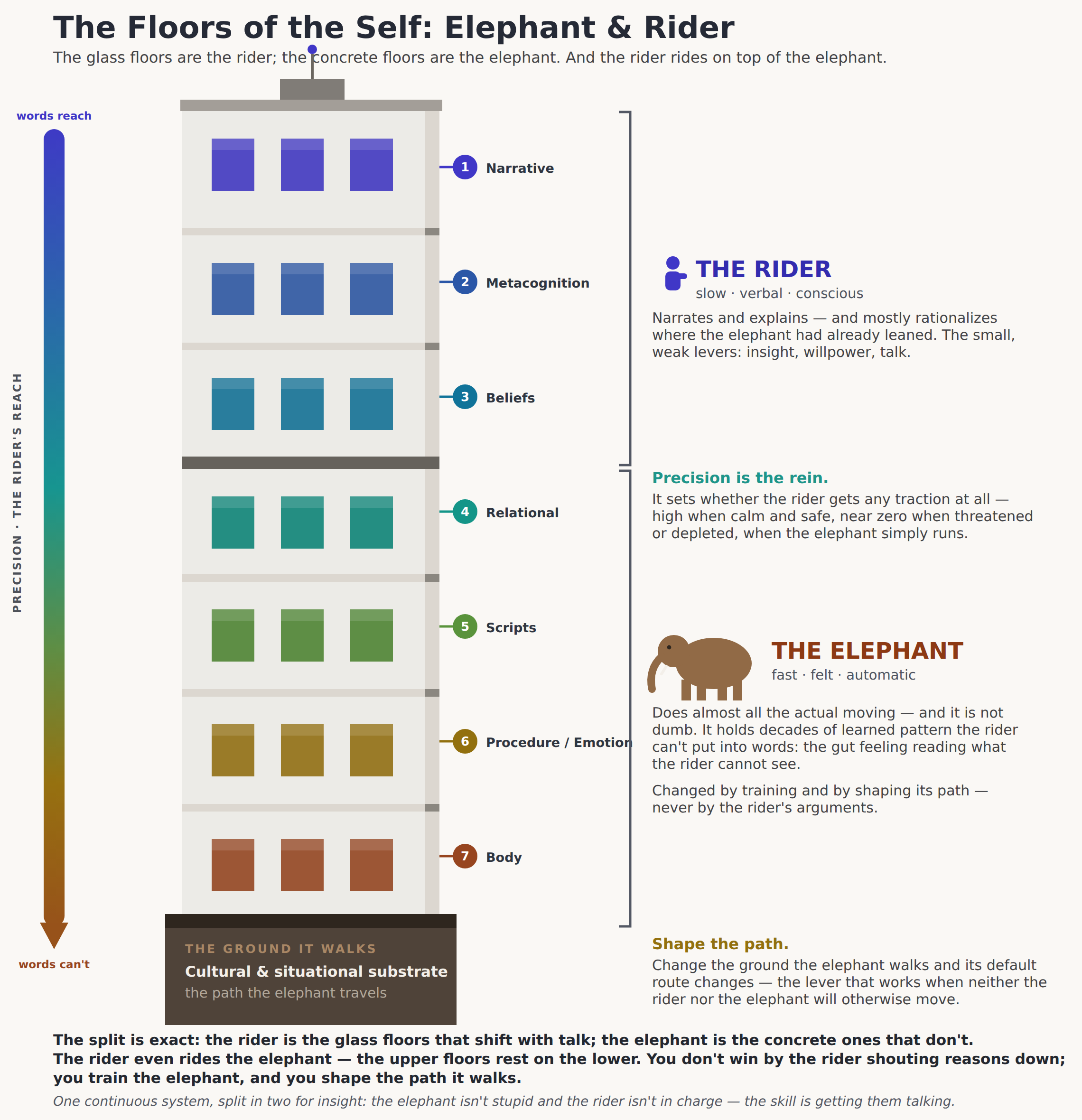3.3 The elephant and the rider